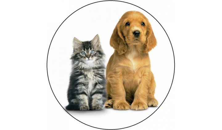 Vakcinácia psov a mačiek proti besnote